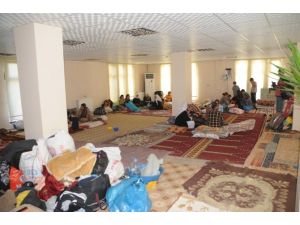 350 Yezidi Şırnak’a Sığındı