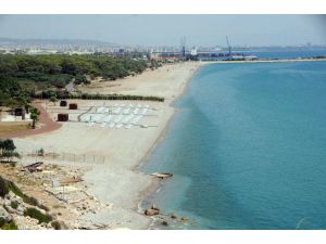 Antalya’da Kadınlar Plajına Ağaçlı Koruma