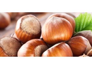 Kilogramı 10.7 Lira