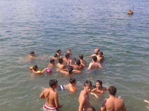 Yavru Yunus Balığı Plaja Daldı
