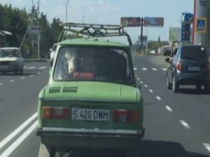 Görenler Hem Güldü Hem Şaşırdı…