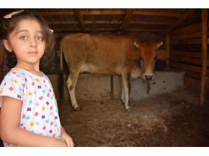 İlk Kez Köyle Tanışan Çocuklar Kendilerini Buldu