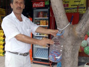 Örnek Muhtar Engelliler İçin Kapak Topluyor