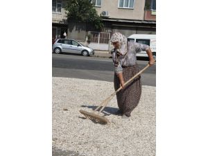 Çevre Yolunda Ayçekirdeği Kurutulmasına İzin Yok