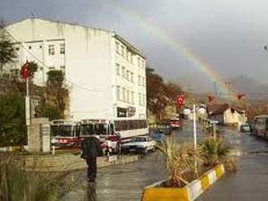 Kebana ‘Trabzon Hurması’ K.Maraş’tan