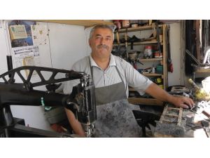 31 Yıl Sonra Gelen Ses