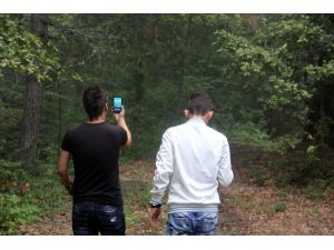 Telefonla Konuşabilmek İçin Ormana Gidiyorlar