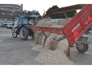 Ay Çekirdeğinde Hasat Zamanı