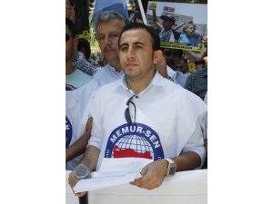 Hatay’da 14 Ağustos Dünya Rabia Günü Eylemi