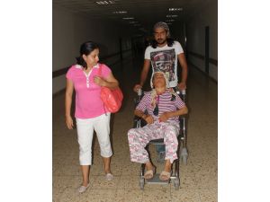 (Özel Haber) Arının Soktuğu Kadın Tekerlekli Sandalyeye Mahkum Oldu