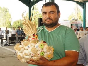 Dünyaca Ünlü Sarımsağın En Güzeli Seçildi