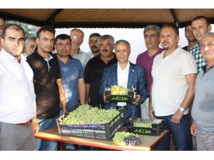 Yaş Üzümde Destek Primi İki Kat Arttı