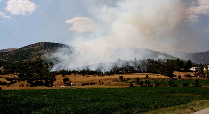 Göksunda Orman Yangını Korkuttu