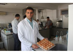 Çiğ Yumurta Yemek Gıda Zehirlenmesine Neden Oluyor