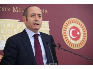 Hamzaçebi: Gül Bir Başbakan Vekili Atamalıdır