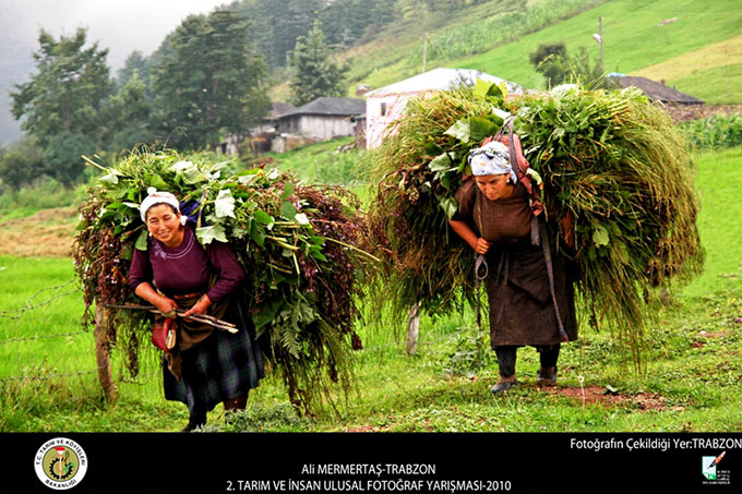 Tarım ve İnsan Konulu Fotoğraf Yarışması Başladı 