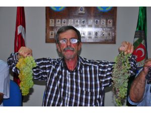 Manisa Ziraat Odasından Üzüm Rekolte Tahminlerine Tepki