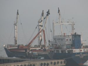 Ordu İskelesinden 7 Ayda 66 Milyon Dolarlık İhracat