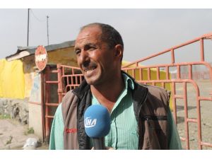 Kurban Bayramı Öncesi Afrika Hastalığı Şoku