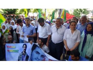 Siirtte Lice Yürüyüşü