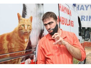 “Tekir Sokak Hayvanları Ve Yaşam Festivali”ne Ünlü Komedyenden Klipli Destek