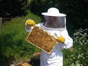 Ordu’da Bal Üretimi Düşecek