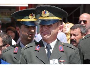 Şehide Veda