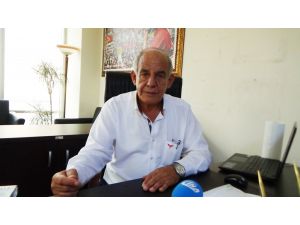 Fındıkta Rekolte Düştü, Maliyet Yükseldi