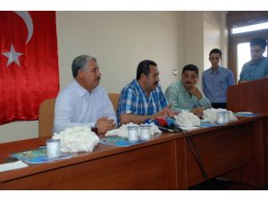 Şanlıurfada Yılın İlk Pamuğu Satıldı