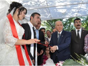 Mhp Lideri Bahçeli Genç Çiftin Yüzüklerini Taktı