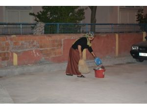 Çöp Aracı Gelmeyen Semtte İş Başa Düştü