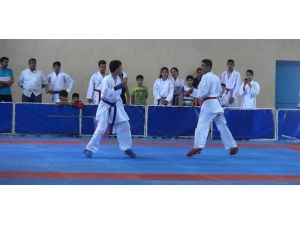 Doğu Ve Güneydoğu İlleri Karate Turnuvasının İkincisi Batman’da Yapıldı