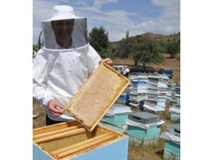 Ordu’da Arıcılara Destek Yağmuru