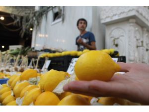 Zam Şampiyonu Limon Artık Taneyle Satılıyor