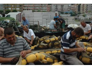 Giresunlu Balıkçılar Av Sezonuna Hazır