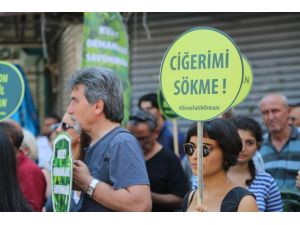 Çevrecilerden ‘Fatih Ormanı’ Eylemi
