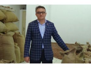 Fındıkta Fiyatı Yabancı Alıcılar Belirleyecek