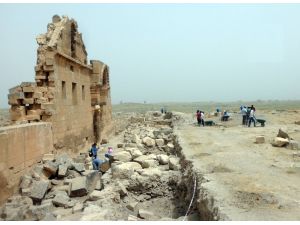 Harran Örenyeri’nde Kazı Çalışmaları Başladı