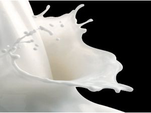 Rusya Türk Sütüne Yöneldi