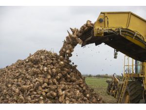 Şeker Fabrikası, Yeni Sezona Hazır