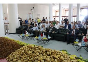 Kuru Üzüm Ve Kuru İncir İhracat Geliri 700 Milyon Doları Buldu