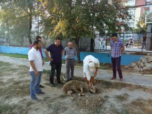 Güneşspor Yeni Sezonu Açtı