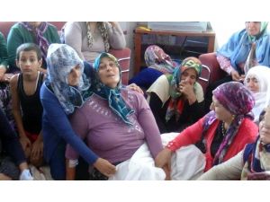 Ciğerim Yanıyor, Artık Terör Bitsin