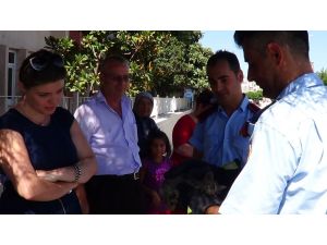 Çanakkale’de Kedi Kurtarma Operasyonu