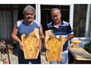 Kütük Gövdesindeki Figür