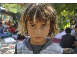 Yezidiler Hayatta Kalma Mücadelelerini Anlattı