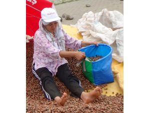 Ulusal Fındık Konseyi’ne Giresun Ziraat Odasından Cevap
