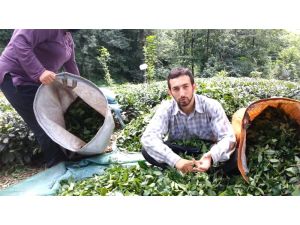 Rizeli Vatandaş Çay Parasına Dikkat Çekmek İçin İlginç Yola Başvurdu