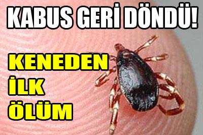 Keneden 1 kişi öldü 