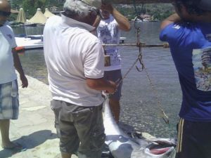 Hem De Oltayla Yakaladı